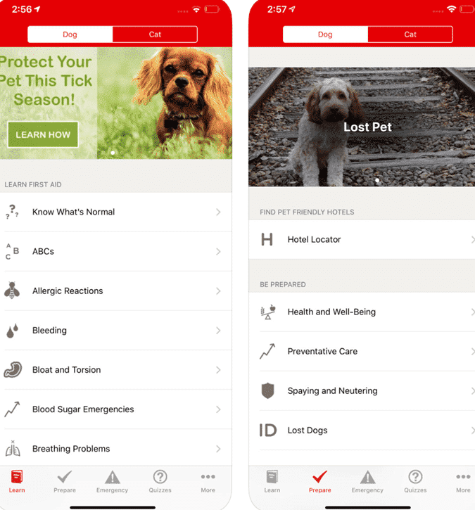 صورة لـ أفضل تطبيقات المشي مع الكلاب لكسب المال والتواصل مع أصحاب الحيوانات الأليفة | pet-first-aid-1-min-DzTechs