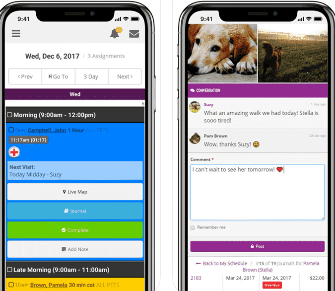 صورة لـ أفضل تطبيقات المشي مع الكلاب لكسب المال والتواصل مع أصحاب الحيوانات الأليفة | precise-petcare-min-DzTechs