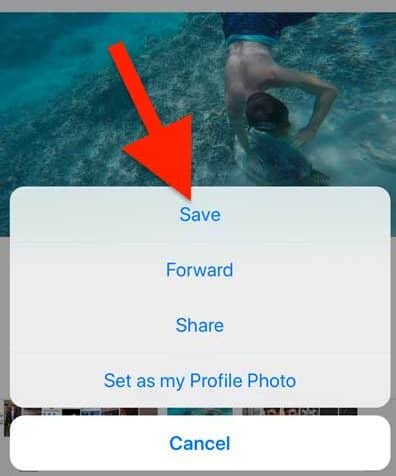 صورة لـ كيفية حفظ الصور ومقاطع الفيديو من WhatsApp إلى هاتفك أو جهاز الكمبيوتر | saving-images-and-videos-from-WhatsApp-to-your-iPhone-e1521456327200-min-DzTechs