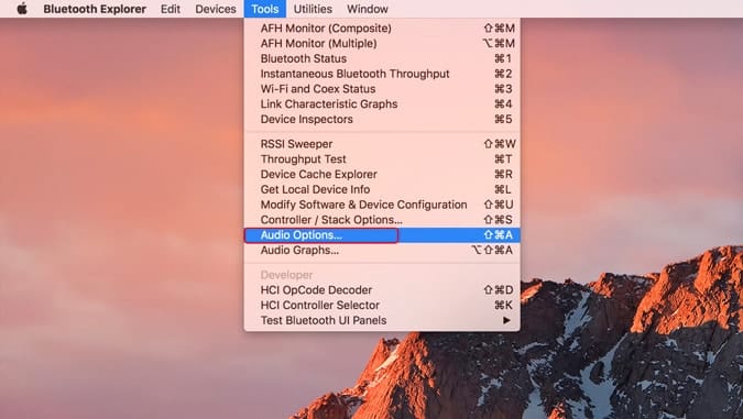 صورة لـ كيفية تحسين جودة صوت أجهزة Bluetooth على Android و MacOS مع aptX | tools-option-min-DzTechs