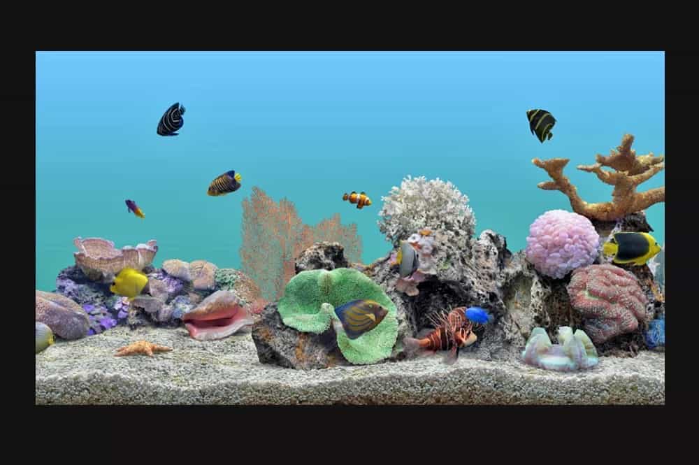 صورة لـ مجموعة من النصائح والحيل على Roku لجعل حياتك أسهل | aquatic-life-4k-edit-xxx-5b0b216f43a10300369afd08-min-DzTechs