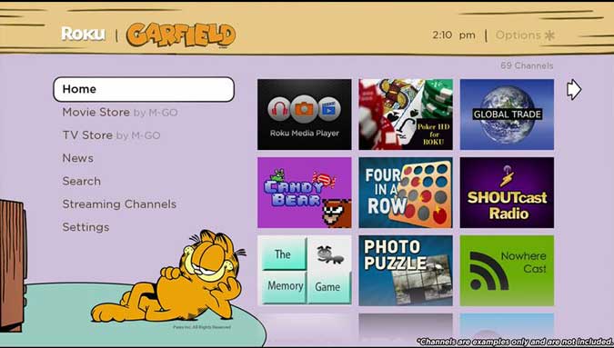 صورة لـ أفضل السمات والمظاهر لتخصيص شاشة Roku الرئيسية مثل المحترفين | garfield-DzTechs