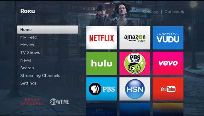 صورة لـ أفضل السمات والمظاهر لتخصيص شاشة Roku الرئيسية مثل المحترفين | penny-dreadful-DzTechs