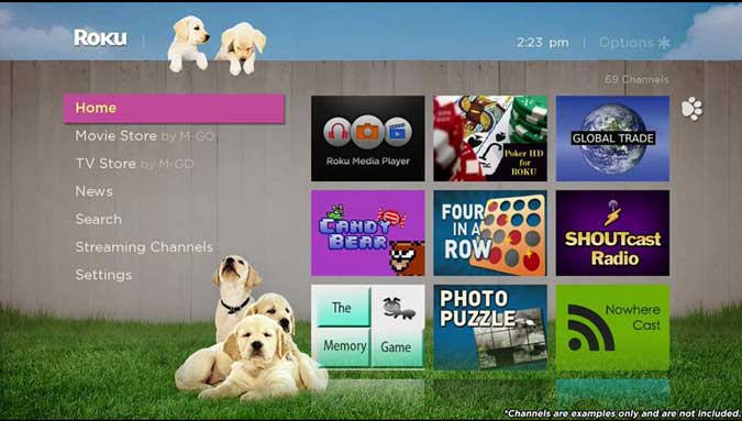 صورة لـ أفضل السمات والمظاهر لتخصيص شاشة Roku الرئيسية مثل المحترفين | pets-theme-DzTechs