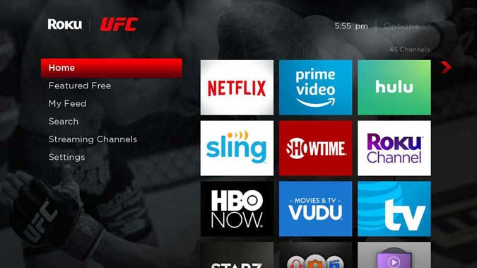 صورة لـ أفضل السمات والمظاهر لتخصيص شاشة Roku الرئيسية مثل المحترفين | ufc-DzTechs