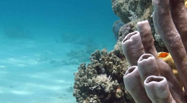 صورة لـ أضف المرح للشاشة مع الخلفيات الديناميكية لنظام Windows 10 | windows-10-dynamic-wallpaper-apps-5-min-DzTechs