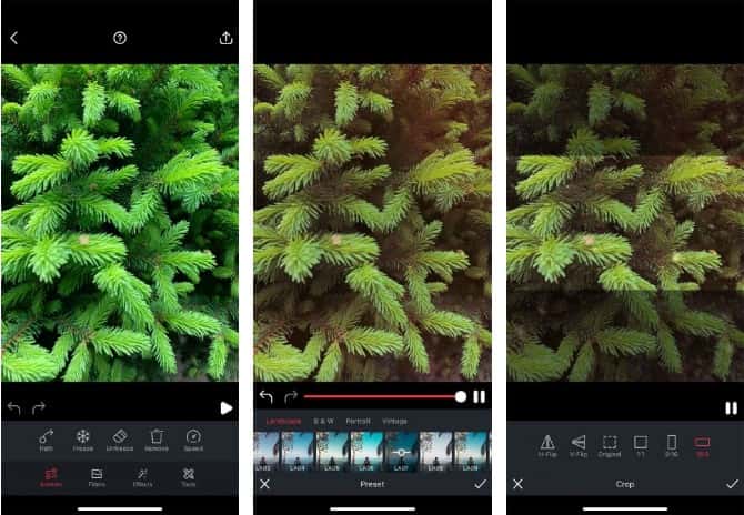 صورة لـ أفضل التطبيقات لتحريك الصور الثابتة على Android و iPhone | 4_5-min-DzTechs