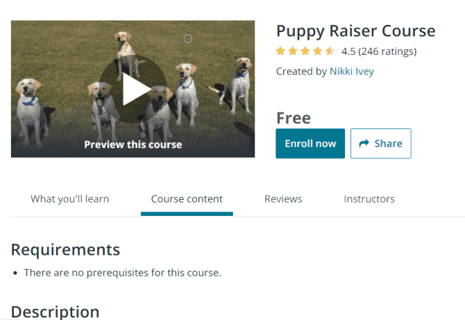 صورة لـ أفضل الدورات التدريبية المجانية على الانترنت للكلاب لتعليم جروك الخدع الجديدة | puppy-raiser-course-dog-training-min-DzTechs