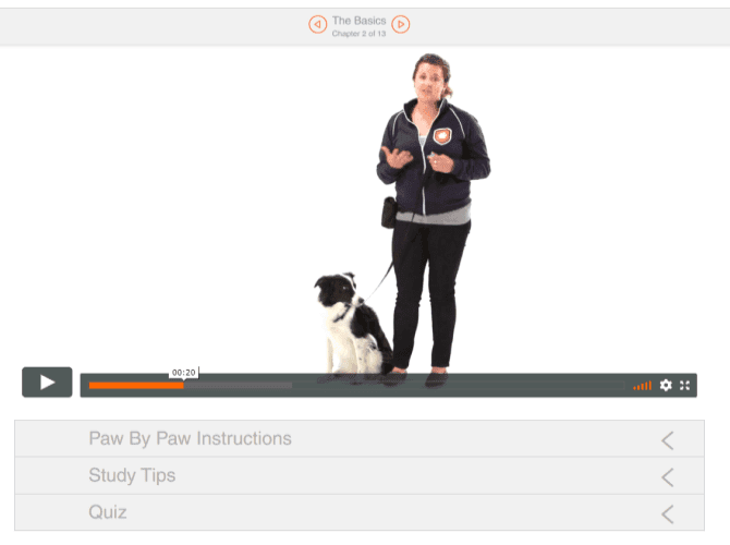 صورة لـ أفضل الدورات التدريبية المجانية على الانترنت للكلاب لتعليم جروك الخدع الجديدة | wagfield-dog-training-course-min-DzTechs