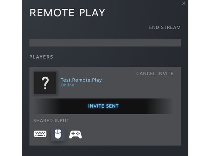 صورة لـ كيف تلعب ألعاب محلية متعددة اللاعبين على الإنترنت بإستخدام Steam | controls_test_remote_play-min-DzTechs