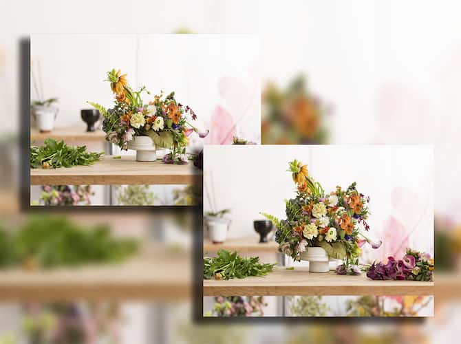 صورة لـ طرق مختلفة لاستخدام أداة Photoshop Clone Stamp | flower2-min-DzTechs