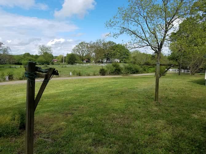 صورة لـ طرق مختلفة لاستخدام أداة Photoshop Clone Stamp | originalimage_preclonestamp-min-DzTechs