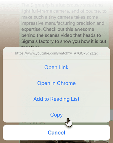 صورة لـ كيفية النسخ واللصق على الـ iPhone الخاص بك | iPhone_Copy_and_Paste_URL_Links-lPDjcFfs-DzTechs