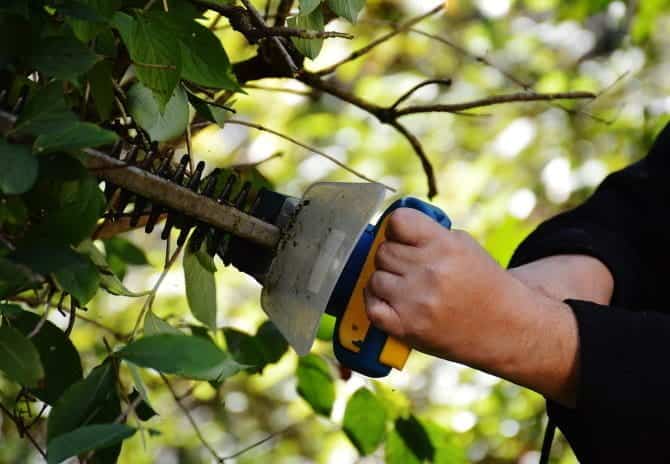 صورة لـ استخدامات إبداعية للمقابس الذكية التي تجعلك تريد واحدًا | muo-tech-smart-plugs-garden-min-DzTechs