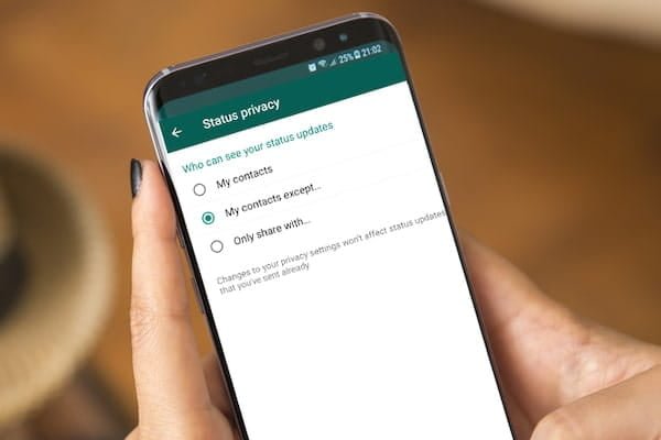 صورة لـ كيفية إخفاء حالة أنك مُتصل في WhatsApp | Hiding_Your_Status_on_WhatsApp-vRds7Mfs-DzTechs