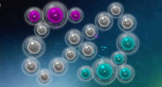 صورة لـ أفضل الألعاب التي تتعلق بالأوبئة وتفشي الأمراض على Android | b-DCuKyRfs-DzTechs