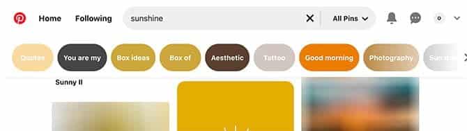 صورة لـ هل تشعر بالسلبية وخيبات الأمل؟ إليك أسعد المواقع على الويب | happiest_places_on_the_web_13_pinterest-7w1lxTfs-DzTechs