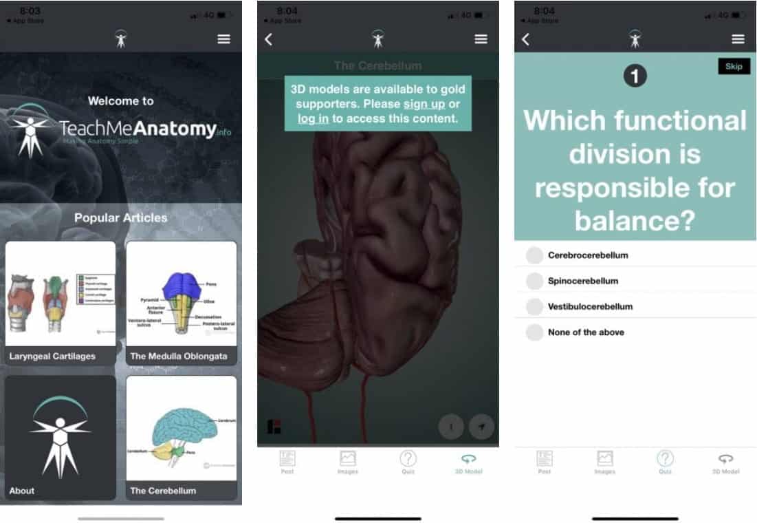 صورة لـ أفضل الجولات الافتراضية داخل جسم الإنسان للتشريح التفاعلي | 5._Teach_Me_Anatomy-qwTfiUfs-DzTechs
