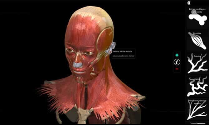 صورة لـ أفضل الجولات الافتراضية داخل جسم الإنسان للتشريح التفاعلي | AnatomyLearning-dcTfiUfs-DzTechs