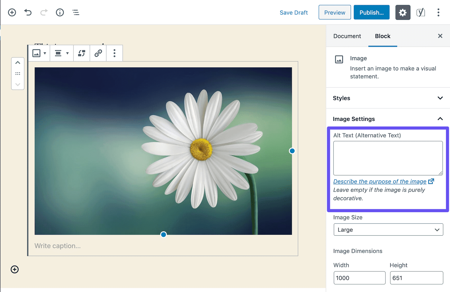 صورة لـ كيفية زيادة الزيارات العضوية لموقع الويب بنسبة كبيرة خلال عام واحد: نصائح لتحسين جذب الجمهور | block-alt-text-1-DzTechs