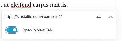 صورة لـ كيفية زيادة الزيارات العضوية لموقع الويب بنسبة كبيرة خلال عام واحد: نصائح لتحسين جذب الجمهور | link-settings-block-editor-1-DzTechs