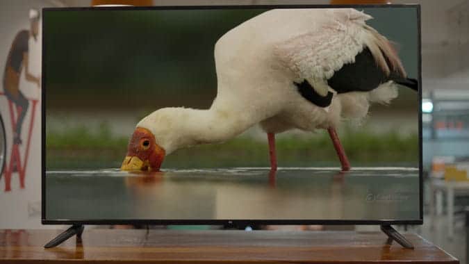 صورة لـ مراجعة التلفاز الذكي Xiaomi Mi TV 4X 50 – هل هو أفضل تلفاز 4K بسعر متوسط؟ | 7676-fij9qLfs-DzTechs