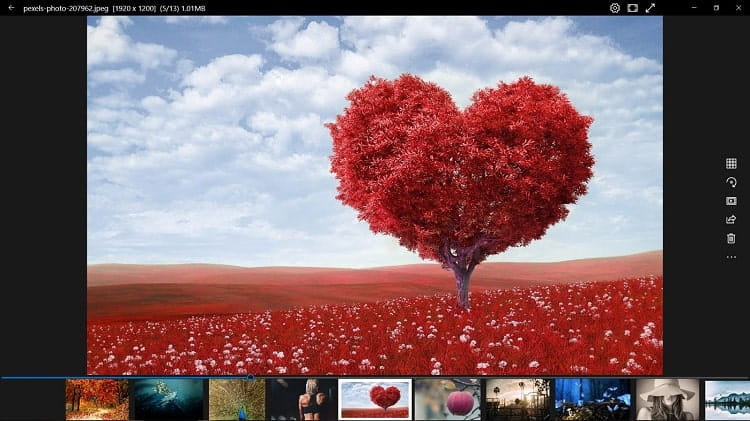 صورة لـ أفضل تطبيقات عرض الصور لنظام Windows (تجميعة 2023) | photo_viewer_for_windows_11-4Mw9oLfs-DzTechs
