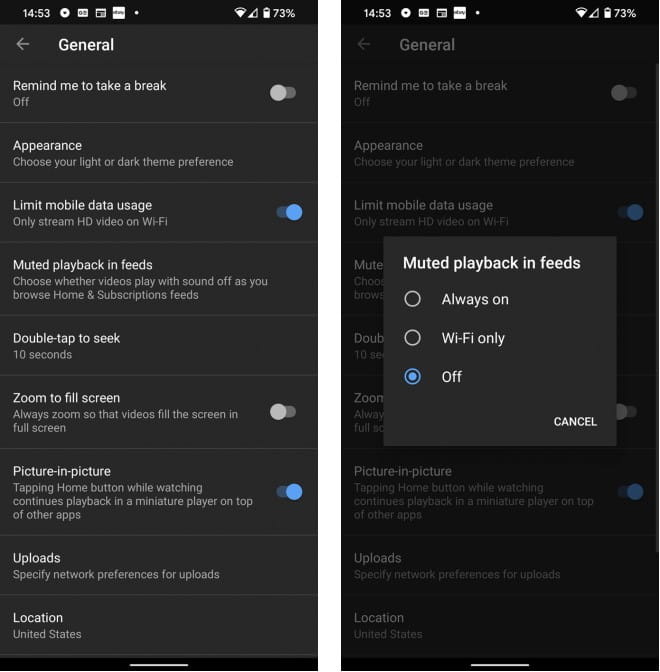 صورة لـ ما مقدار البيانات الخلوية التي يستهلكها YouTube؟ | Disable_Muted_Playback_in_YouTube_Feeds-xLqimNfs-DzTechs