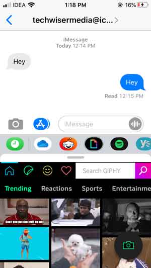 صورة لـ أفضل ملصقات iMessage التي تحتاجها لإبقاء الدردشات مُمتعة | GIPHY-DzTechs