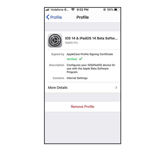صورة لـ كيفية الحصول على الإصدار التجريبي العام من iOS 14 على iPhone الخاص بك؟ | dg-Fhuppags-DzTechs