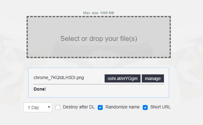 صورة لـ أفضل مواقع استضافة الصور المجانية: الربط الساخن مسموح به ولا حدود للنطاق الترددي | oshi_free_image_hosting-LTNeXMfs-DzTechs