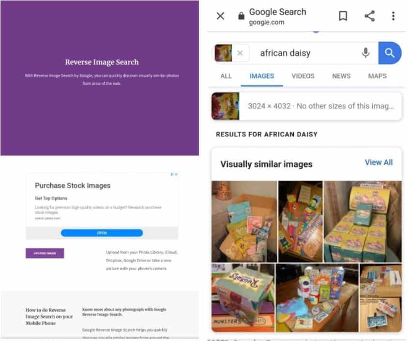 صورة لـ أفضل تطبيقات البحث العكسي عن الصور لأجهزة iPhone و Android | 8._Reverse_Photos_Image_Search-QOJFTQfs-DzTechs