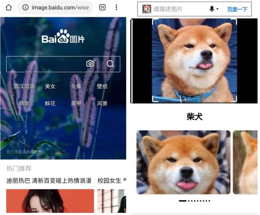 صورة لـ أفضل تطبيقات البحث العكسي عن الصور لأجهزة iPhone و Android | 9._Baidu_Image_Search-3PJFTQfs-DzTechs