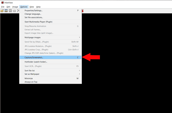 صورة لـ كيفية التقاط لقطة شاشة مع تضمين مؤشر الماوس على Windows 10 | irfan_view_1-KksJAcgs-DzTechs