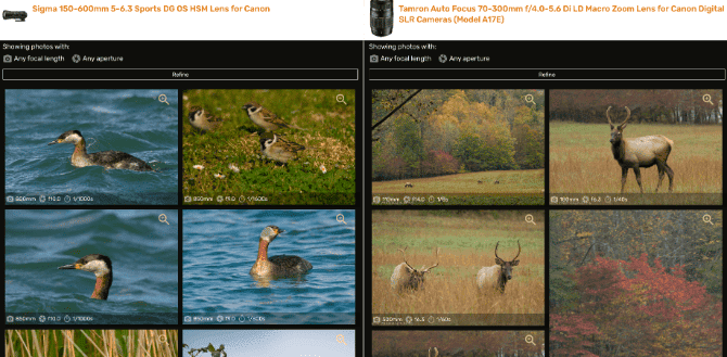 صورة لـ أفضل تطبيقات التصوير الفوتوغرافي والأدلة لإيجاد أفضل عدسة للكاميرا | select_camera_lens_compare_lens_vs_lens-psoVDOfs-DzTechs
