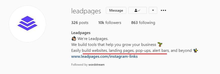 صورة لـ أفضل النصائح العملية لزيادة تفاعل Instagram وزيادة الزيارات إلى موقع الويب الخاص بك | Keywords_instagram_bio-5PHsmhgs-DzTechs