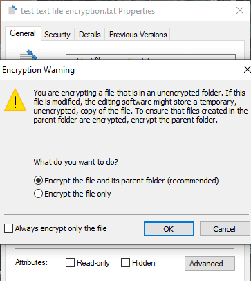 صورة لـ كيفية تشفير وفك تشفير ملف نصي في نظام Windows 10 | encrypting-file-system-choose-type-DzTechs