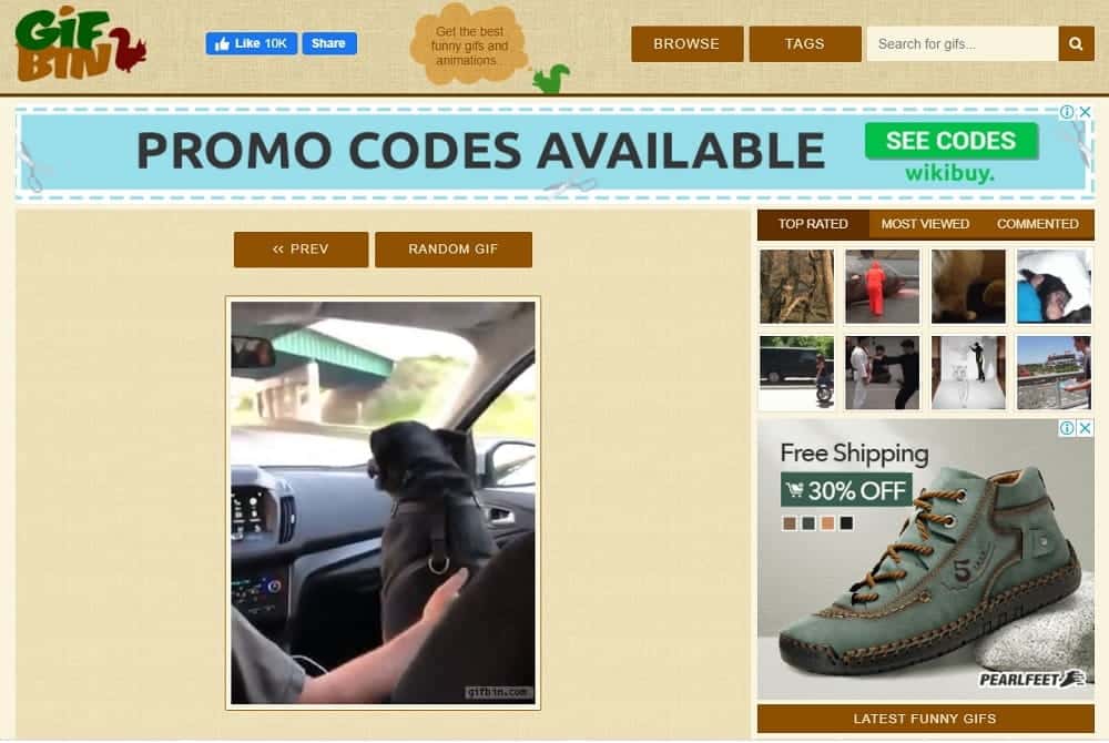 صورة لـ أفضل بدائل Giphy: أفضل التطبيقات ومواقع الويب للحصول على صور GIF | gifbin-vZNUYfgs-DzTechs