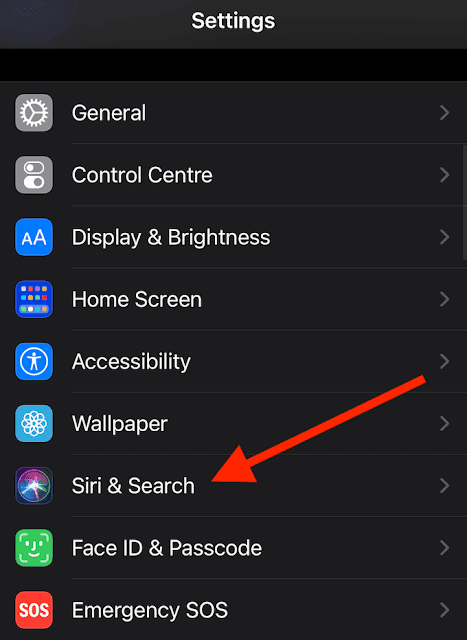 صورة لـ كيفية إجراء مكالمة WhatsApp باستخدام Siri | settings_siri-search-DzTechs