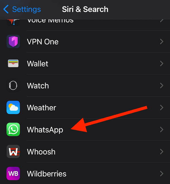 صورة لـ كيفية إجراء مكالمة WhatsApp باستخدام Siri | siri_open-whatsapp-settings-DzTechs