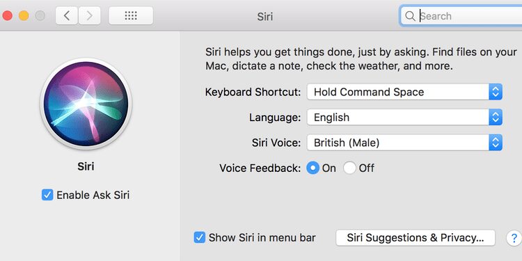 صورة لـ كيفية إيقاف تشغيل Siri على iPhone أو iPad أو Mac أو Apple Watch | 10CMhFrdIyO04hUq3HNjK4g-DzTechs