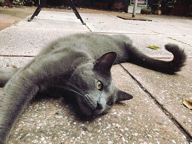 صورة لـ أفضل التطبيقات لتحويل iPhone إلى كاميرا قديمة التي تستحق الاستخدام | 1YSbYiByhsFmMjYYGU6dMPg-DzTechs