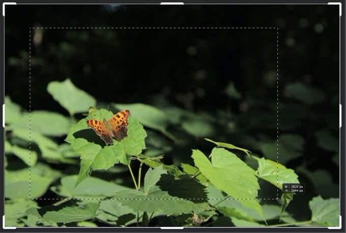 صورة لـ كيفية اقتصاص الصور باستخدام Photoshop | 1kcwE-OePwIjKwBNQSw4kvA-DzTechs