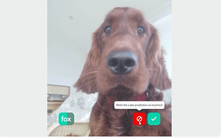 صورة لـ كيفية إنشاء نموذج التعلم الآلي باستخدام Microsoft Lobe | 1JASsBG9dhH6_zIQMy5L1Jg-DzTechs