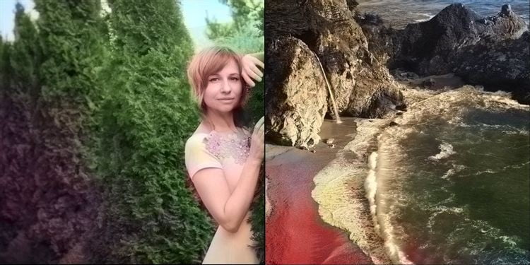 صورة لـ أفضل أدوات الذكاء الاصطناعي التي تُضيف الألوان إلى الصور القديمة بالأبيض والأسود | 1gksIdLefoORtsK0-hMC0qA-DzTechs