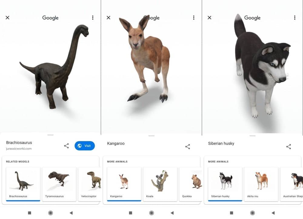 Imagen de animales en 3D de Google: Cómo convertir tu dispositivo en un parque safari virtual | 19QuNsW41MG44tV-lD5FT0g-DzTechs