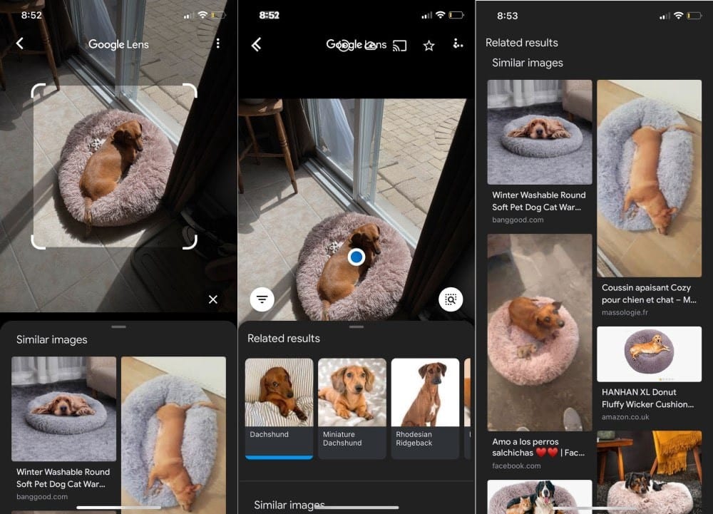 صورة لـ أفضل التطبيقات لتحديد والتعرف على أي شيء باستخدام كاميرا هاتفك | 1UX_tP7axSUTycqO6n6nZww-DzTechs