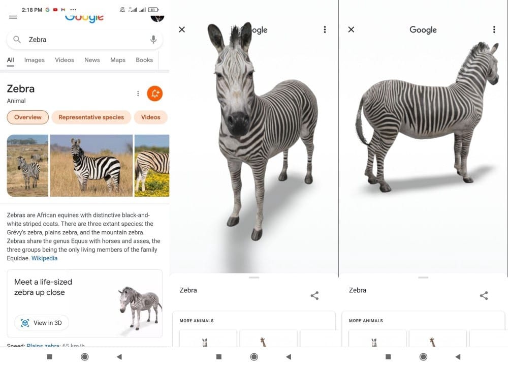 Imagen de animales en 3D de Google: Cómo convertir tu dispositivo en un parque safari virtual | 1ZzwLG6fJL-xPwowjON57_A-DzTechs