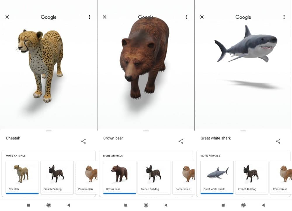 Imagen de animales en 3D de Google: Cómo convertir tu dispositivo en un parque safari virtual | 1oa9bI9KhgObhtijj_H_5yg-DzTechs