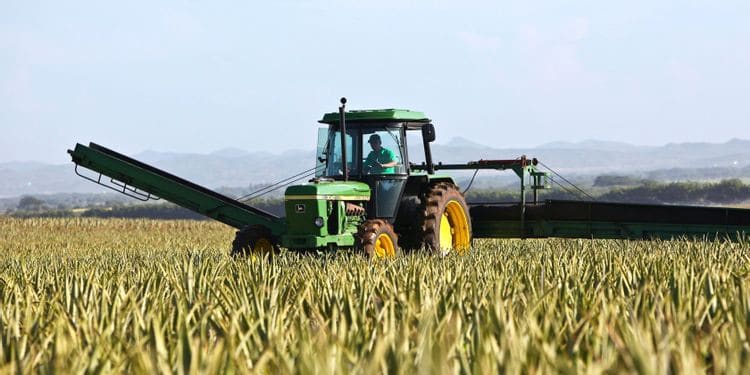 صورة لـ التمويل اللامركزي: ما هي زراعة الغلة ولماذا تحظى بشعبية كبيرة؟ | 1PTxlfvAmzH1vD3RD7_9lHw-DzTechs
